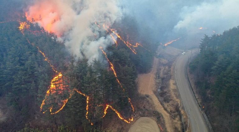 Νότια Κορέα: Στους 26 οι νεκροί από τις τεράστιες πυρκαγιές που «εξαπλώνονται με ταχύτητα»