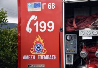 Βοιωτία: Φωτιά σε εξέλιξη στο Κυριάκι – Μεγάλη κινητοποίηση της Πυροσβεστικής