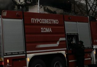 Φωτιά στην Εύβοια σε δύσβατη περιοχή – Μεγάλη κινητοποίηση της πυροσβεστικής