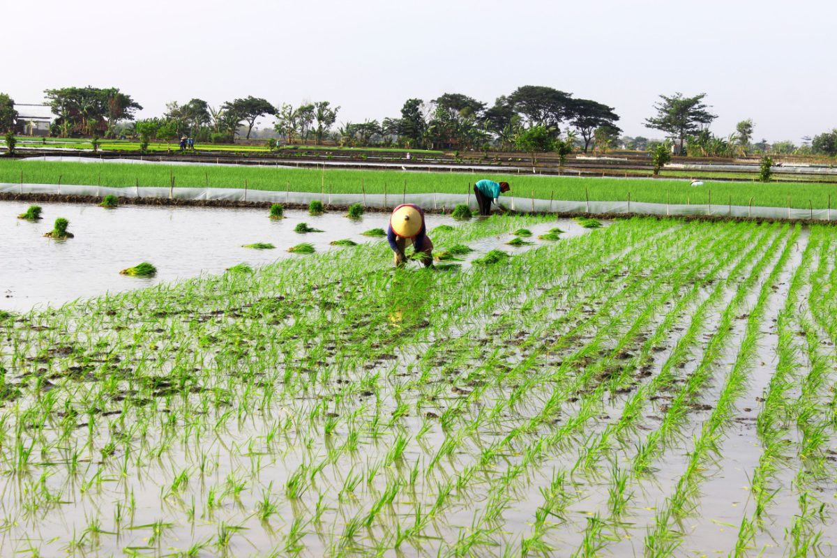 Οι «αόρατοι» τρόποι που σπαταλάμε νερό στην καθημερινότητά μας