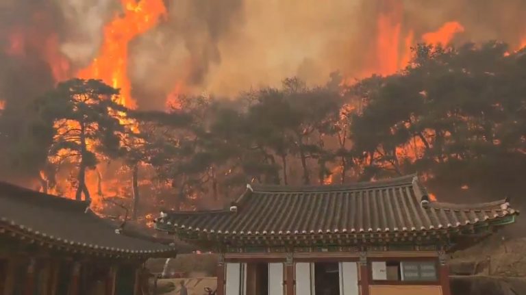 Νότια Κορέα: Ζουν την κόλαση από δασικές πυρκαγιές – Τουλάχιστον 18 νεκροί [βίντεο]