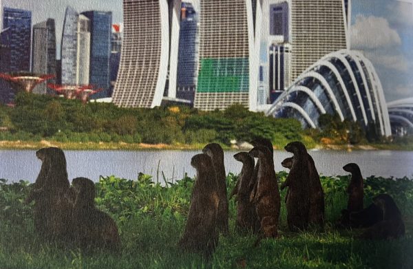 «Αστική ζούγκλα»: εκεί όπου το δάσος συναντά την πόλη