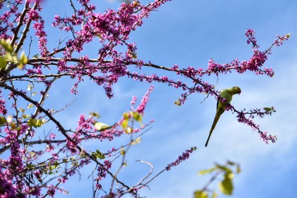 Καιρός: Υψηλές θερμοκρασίες στη χώρα – Πού ξεπέρασε τους 28 βαθμούς
