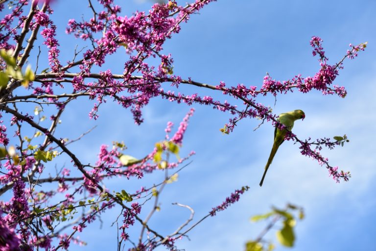 Καιρός: Υψηλές θερμοκρασίες στη χώρα – Πού ξεπέρασε τους 28 βαθμούς