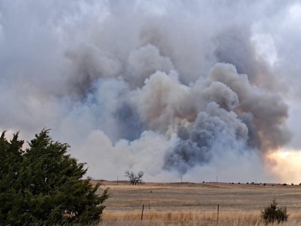 ΗΠΑ: Μαίνεται τεράστια δασική πυρκαγιά στο Νιου Τζέρσεϊ – Κάτοικοι εγκαταλείπουν τα σπίτια τους