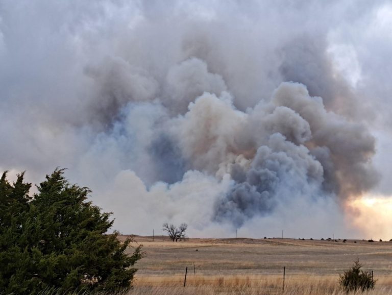 ΗΠΑ: Μαίνεται τεράστια δασική πυρκαγιά στο Νιου Τζέρσεϊ – Κάτοικοι εγκαταλείπουν τα σπίτια τους