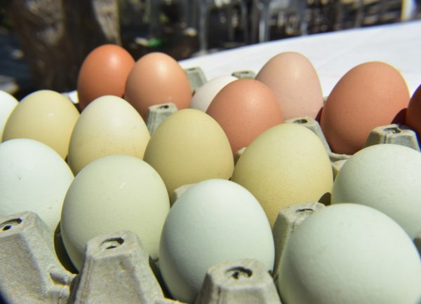 Δασμοί Τραμπ: Τα T-shirts είναι τα νέα… αυγά