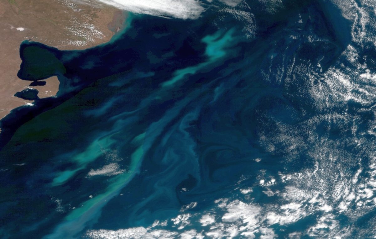 Άνθιση φυτοπλαγκτού έξω από τις ακτές της Αργεντινής σε δορυφορική εικόνα της 17ης Δεκεμβρίου 2017 (NOAA)