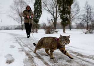 Καιρός: Συνεχίζεται η ψυχρή εισβολή, ποιες μέρες θα είναι οι πιο κρύες – Στα «λευκά» η Βόρεια Ελλάδα