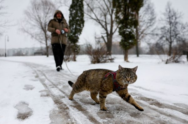 Καιρός: Συνεχίζεται η ψυχρή εισβολή, ποιες μέρες θα είναι οι πιο κρύες – Στα «λευκά» η Βόρεια Ελλάδα