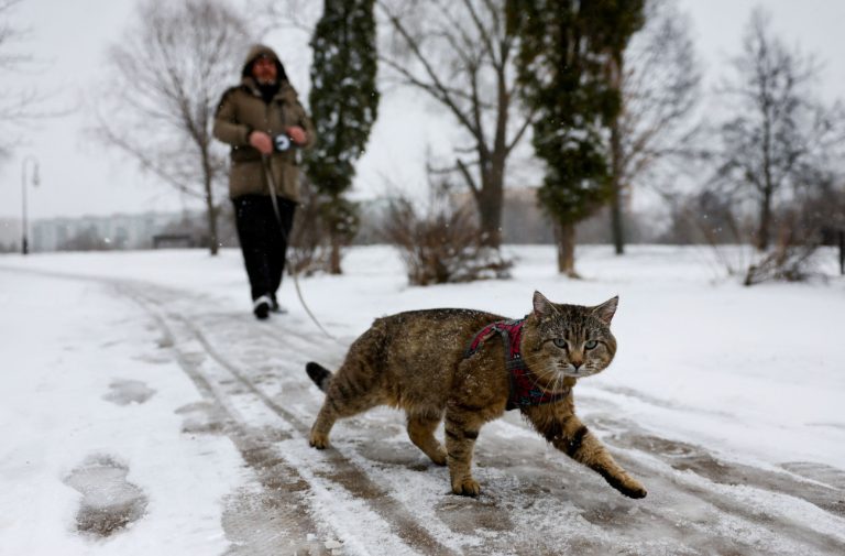 Καιρός: Συνεχίζεται η ψυχρή εισβολή, ποιες μέρες θα είναι οι πιο κρύες – Στα «λευκά» η Βόρεια Ελλάδα