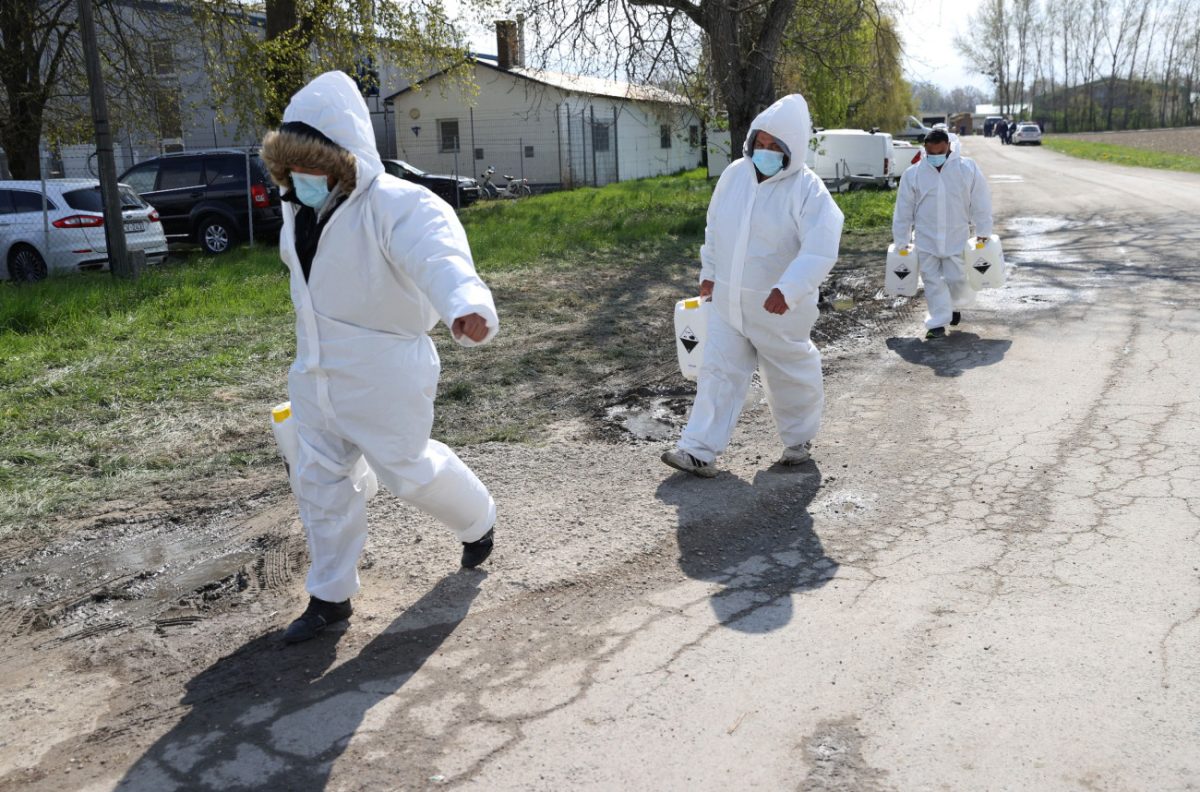 H Ουγγαρία εξετάζει «βιολογική επίθεση» πίσω από την επιδημία αφθώδους πυρετού