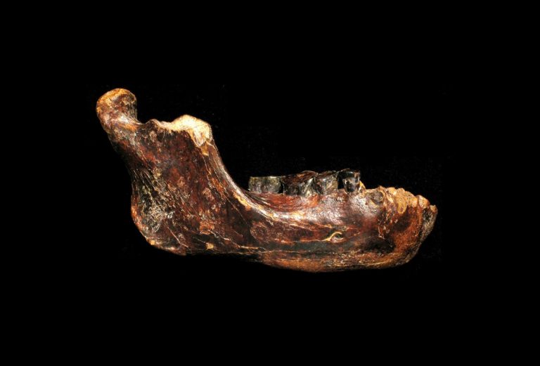 Από τη Σιβηρία μέχρι την Ταϊβάν, οι αινιγματικοί Ντενίσοβαν είχαν κατακτήσει την Ευρασία