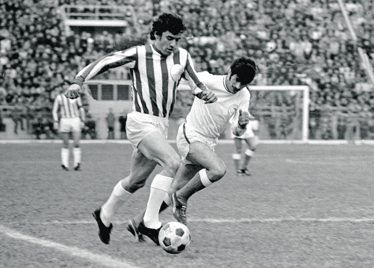 «Εμπαινε Γιούτσο»