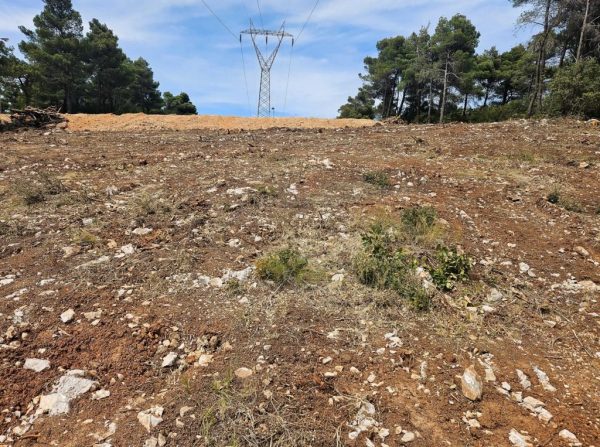 Καθαρισμός οικοπέδων: Παράταση της προθεσμίας μέχρι 15 Ιουνίου