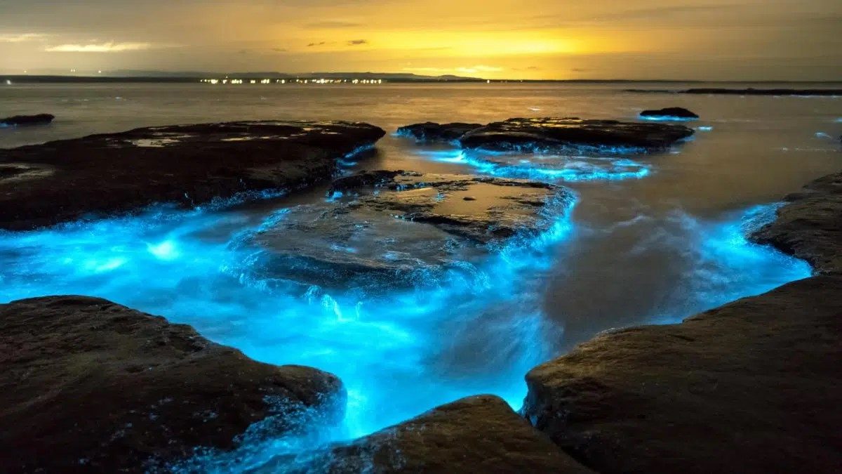 Μια μυστηριώδης λάμψη του ωκεανού προκαλεί αμηχανία στους επιστήμονες εδώ και… 400 χρόνια – Νέα μελέτη