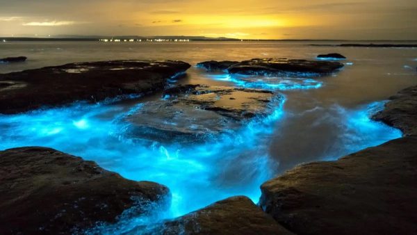 Μια μυστηριώδης λάμψη του ωκεανού προκαλεί αμηχανία στους επιστήμονες εδώ και… 400 χρόνια – Νέα μελέτη