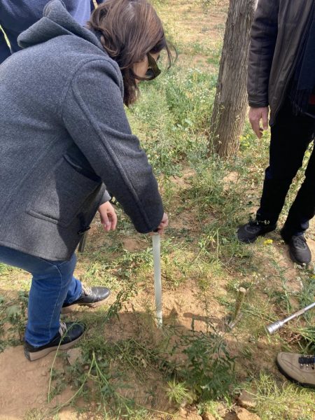 Σε εξέλιξη η αναζωογόνηση του Άλσους Νέας Σμύρνης