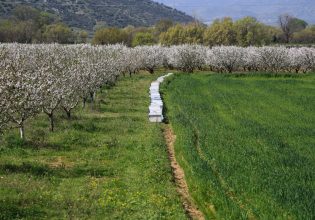 Βουλή: Ερώτηση 11 βουλευτών του ΣΥΡΙΖΑ για την επανένταξη αγροτών στο πρόγραμμα ΓΑΙΑ