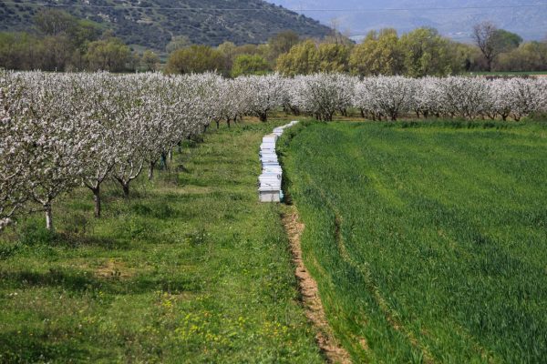Βουλή: Ερώτηση 11 βουλευτών του ΣΥΡΙΖΑ για την επανένταξη αγροτών στο πρόγραμμα ΓΑΙΑ