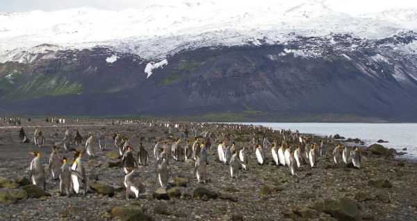 Τραμπ: Επέβαλε δασμούς ακόμη και σε ακατοίκητα νησιά κοντά στην Ανταρκτική