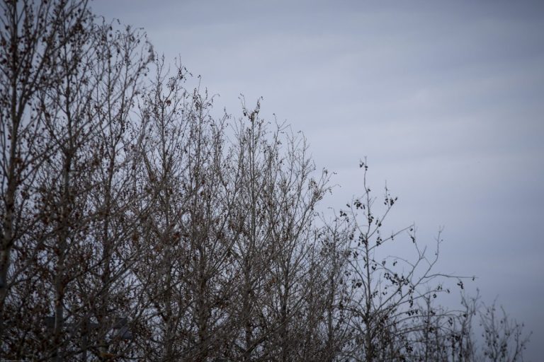 Καιρός: Άνοδος της θερμοκρασίας και τοπικές λασποβροχές