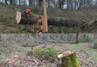 Μακεδονία: Συνελήφθη 35χρονος για παράνομη και ανεξέλεγκτη υλοτομία στο δάσος της Αρέθουσας