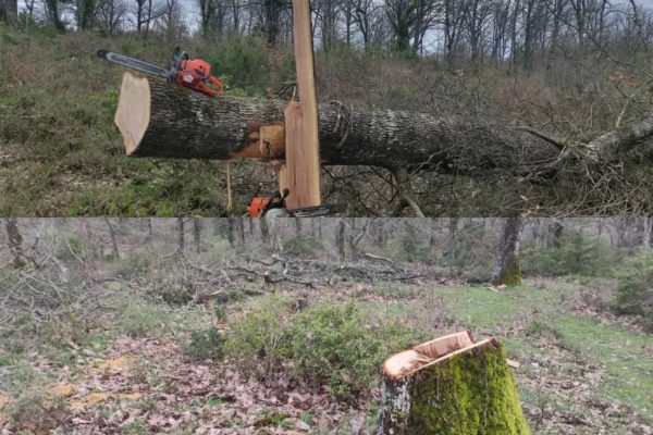 Μακεδονία: Συνελήφθη 35χρονος για παράνομη και ανεξέλεγκτη υλοτομία στο δάσος της Αρέθουσας