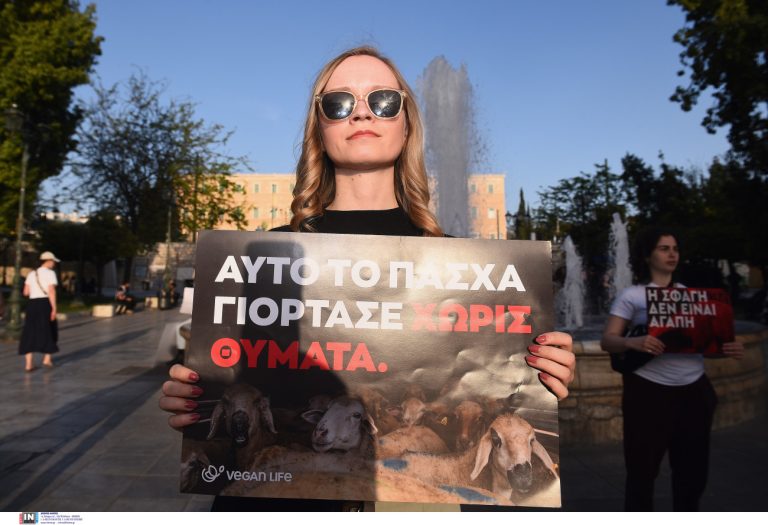 Διαμαρτυρία από vegans στο Σύνταγμα κατά της σφαγής αρνιών το Πάσχα – «Ου φονεύσεις»