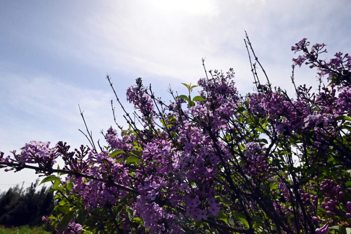 Καιρός: Αλλάζει το σκηνικό – Από πότε πέφτει η θερμοκρασία και πόσο