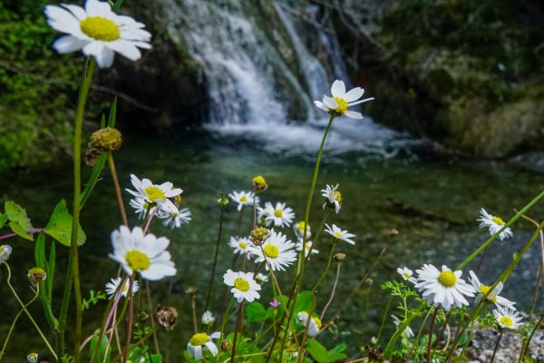 Καιρός: Πώς θα είναι τον Μάιο – Η μακροπρόθεσμη πρόγνωση του Meteo