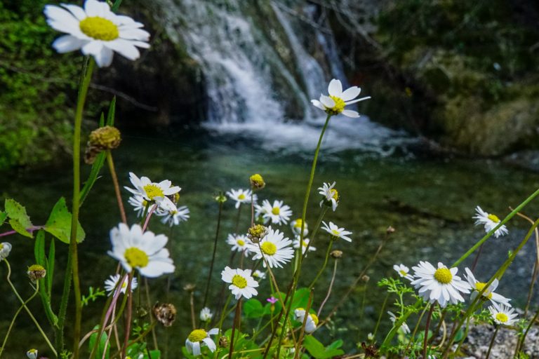 Καιρός: Πώς θα είναι τον Μάιο – Η μακροπρόθεσμη πρόγνωση του Meteo
