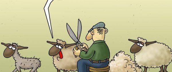 Αρκάς: Η καλημέρα της Κυριακής