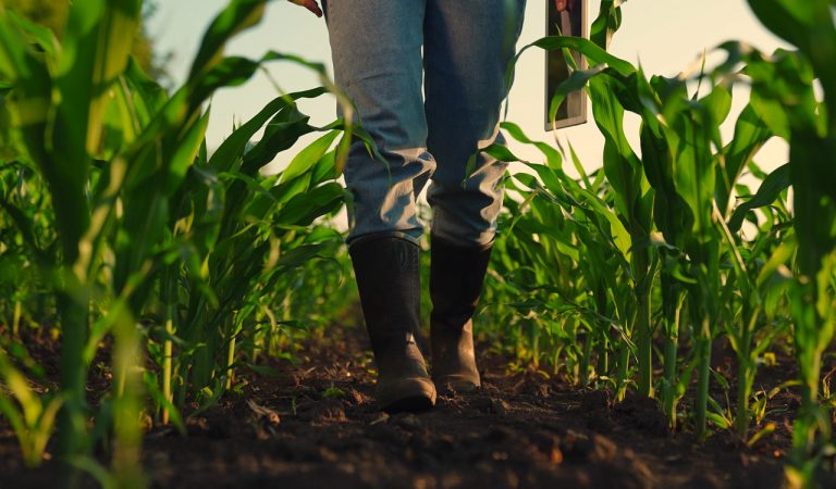 Ο νέος «οδικός χάρτης» της Ευρώπης έως το 2040 για το μέλλον της γεωργίας και των τροφίμων