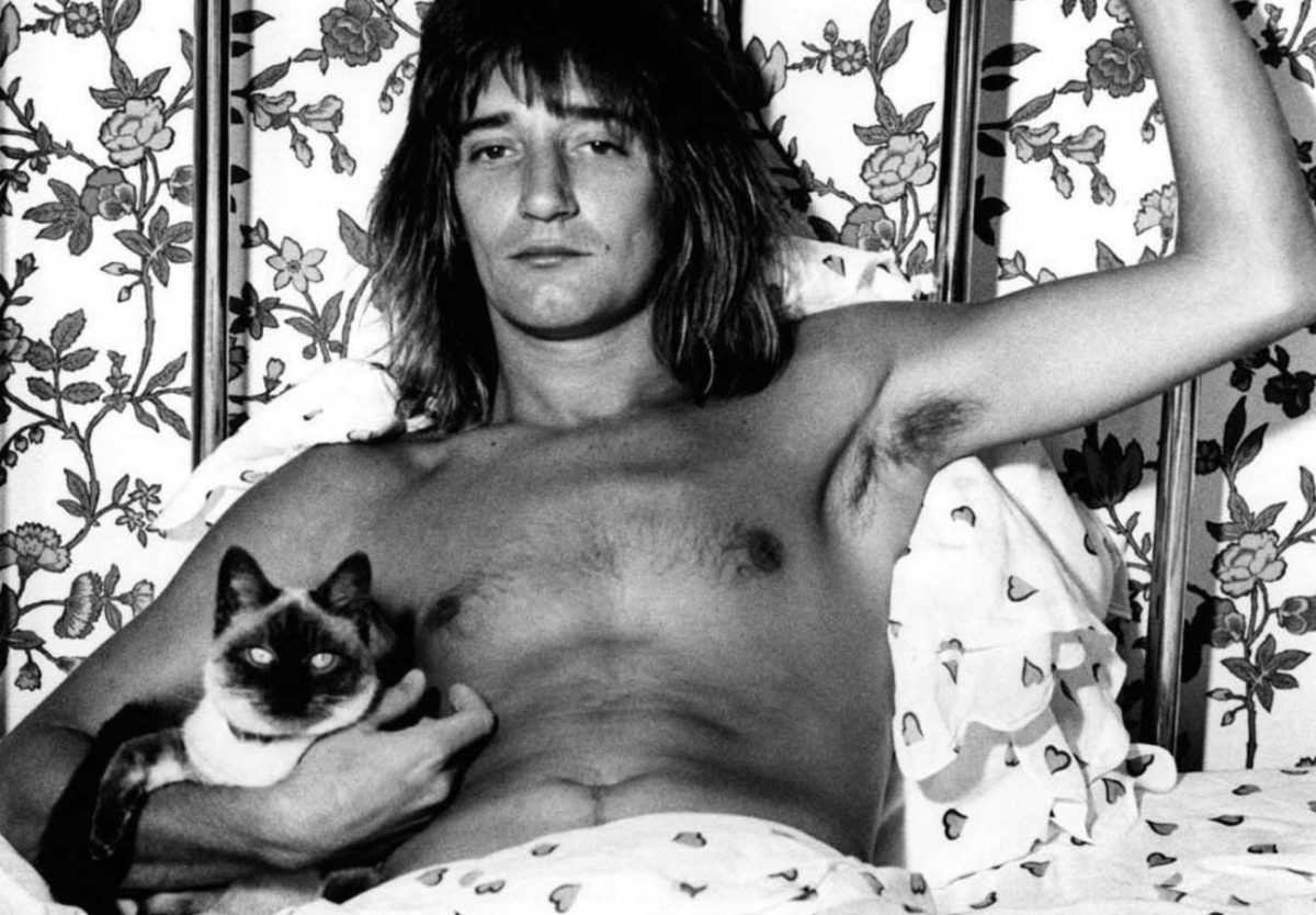 Faces: Στα σκαριά ενός νέου άλμπουμ μετά απο 50 χρόνια βρίσκεται το θρυλικό συγκρότημα