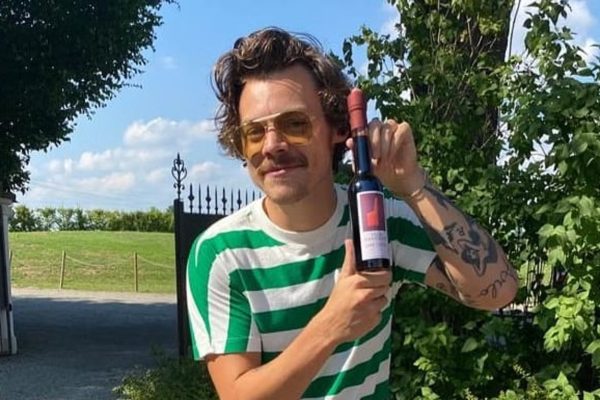 Παχύ μουστάκι και φαβορίτες – Ο Χάρι Στάιλς καταδύεται στη 70s αρρενοπώτητα