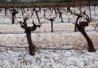 Σφοδρή χαλαζόπτωση στην Κορινθία – Μεγάλες καταστροφές σε καλλιέργειες