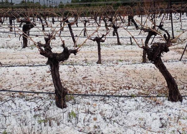Σφοδρή χαλαζόπτωση στην Κορινθία – Μεγάλες καταστροφές σε καλλιέργειες