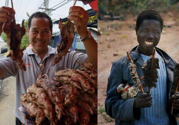 Οι θανάσιμοι κίνδυνοι από το κρέας αγρίων θηραμάτων – Τι δείχνει νέα έρευνα