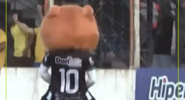 Απίστευτο σκηνικό στη Βραζιλία: Μασκότ αποβλήθηκε από αγώνα (vid)