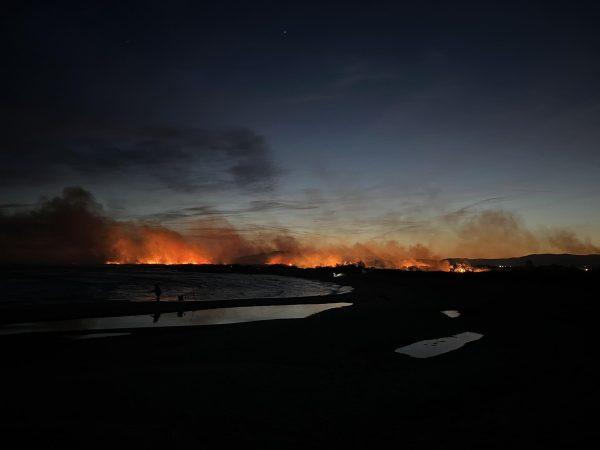 Φωτιά στο Χαϊδευτό Καβάλας