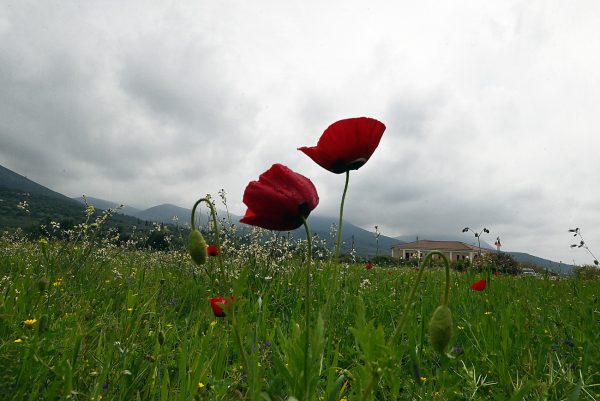 Συννεφιασμένος ο καιρός την Μεγάλη Παρασκευή – Η πρόγνωση για το Πάσχα