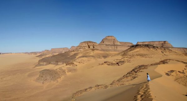 Αρχαίο DNA δείχνει το πράσινο παρελθόν της ερήμου Σαχάρα