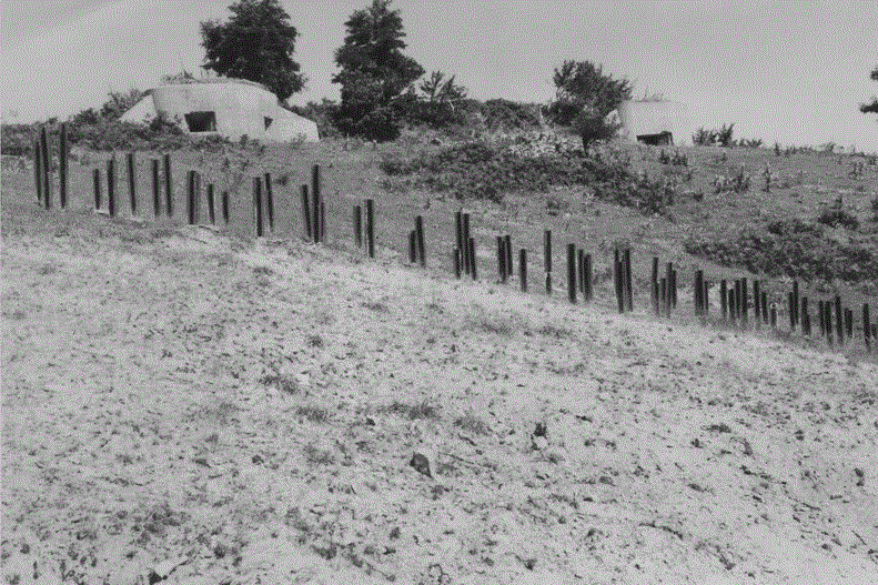 Γραμμή Μεταξά: Το ισχυρό φρούριο της ελευθερίας