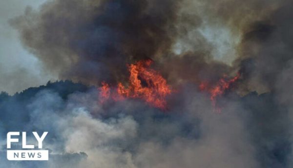 Φωτιά στα Βελανίδια Νεάπολης Λακωνίας