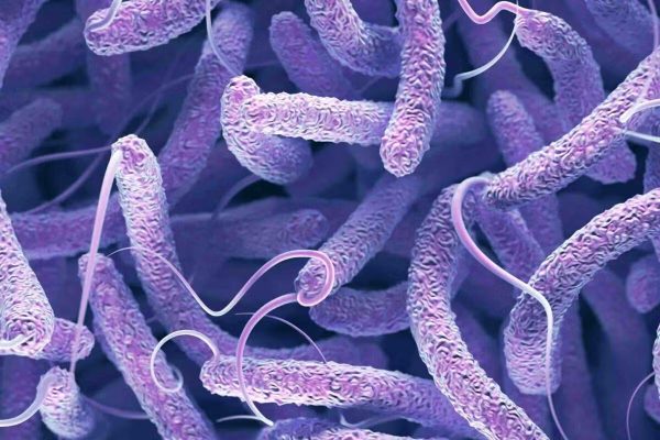 Μολυσμένος αγιασμός από την Αιθιοπία έφερε πολυανθεκτική χολέρα στην Ευρώπη