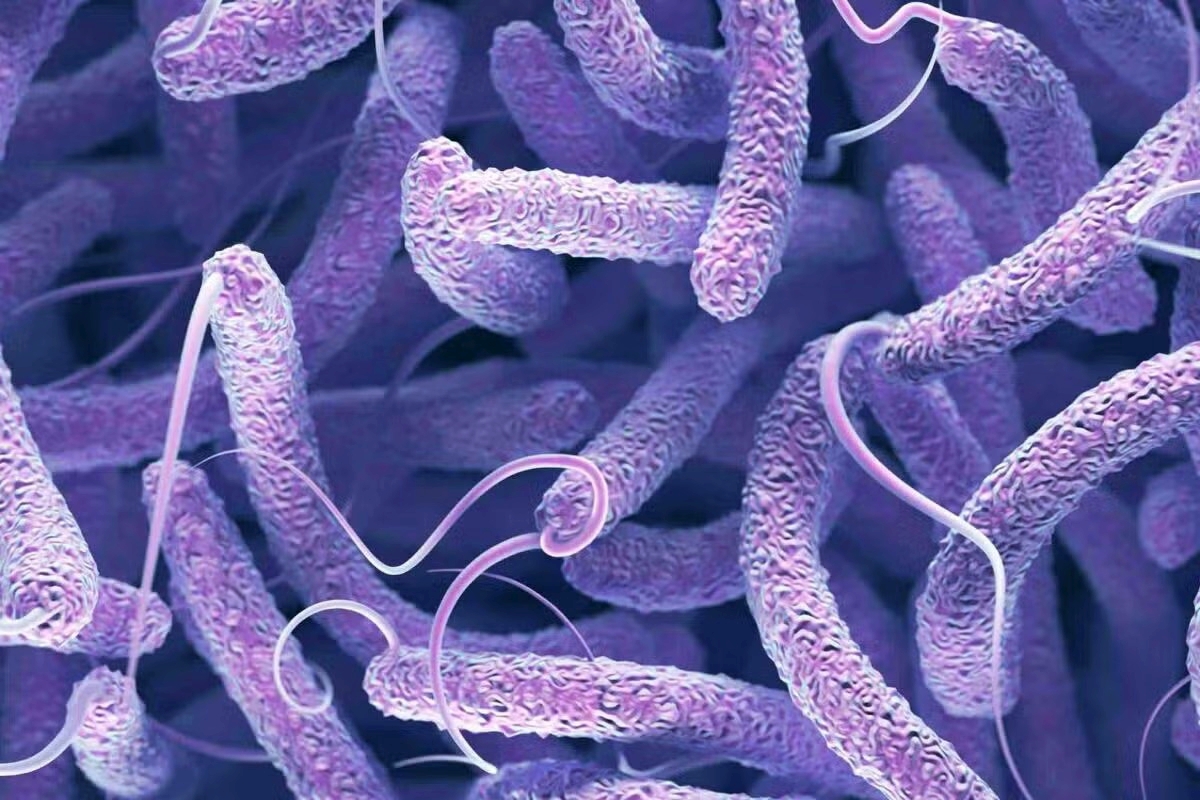 Μολυσμένος αγιασμός από την Αιθιοπία έφερε πολυανθεκτική χολέρα στην Ευρώπη