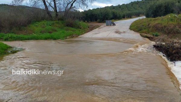 Κακοκαιρία: Έντονη βροχόπτωση σε Χαλκιδική και Βέροια – Έκλεισαν δρόμοι