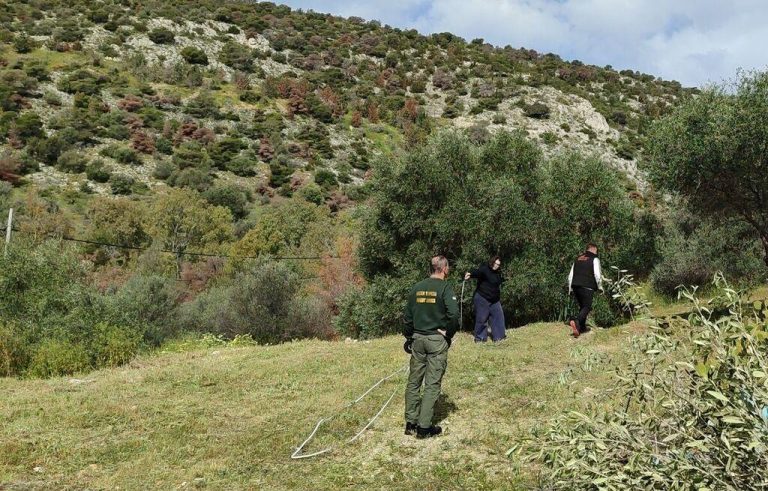 Διάνοιξη ζώνης μήκους 4.481 μέτρων και πλάτους 10 μέτρων στο Ποικίλο Όρος