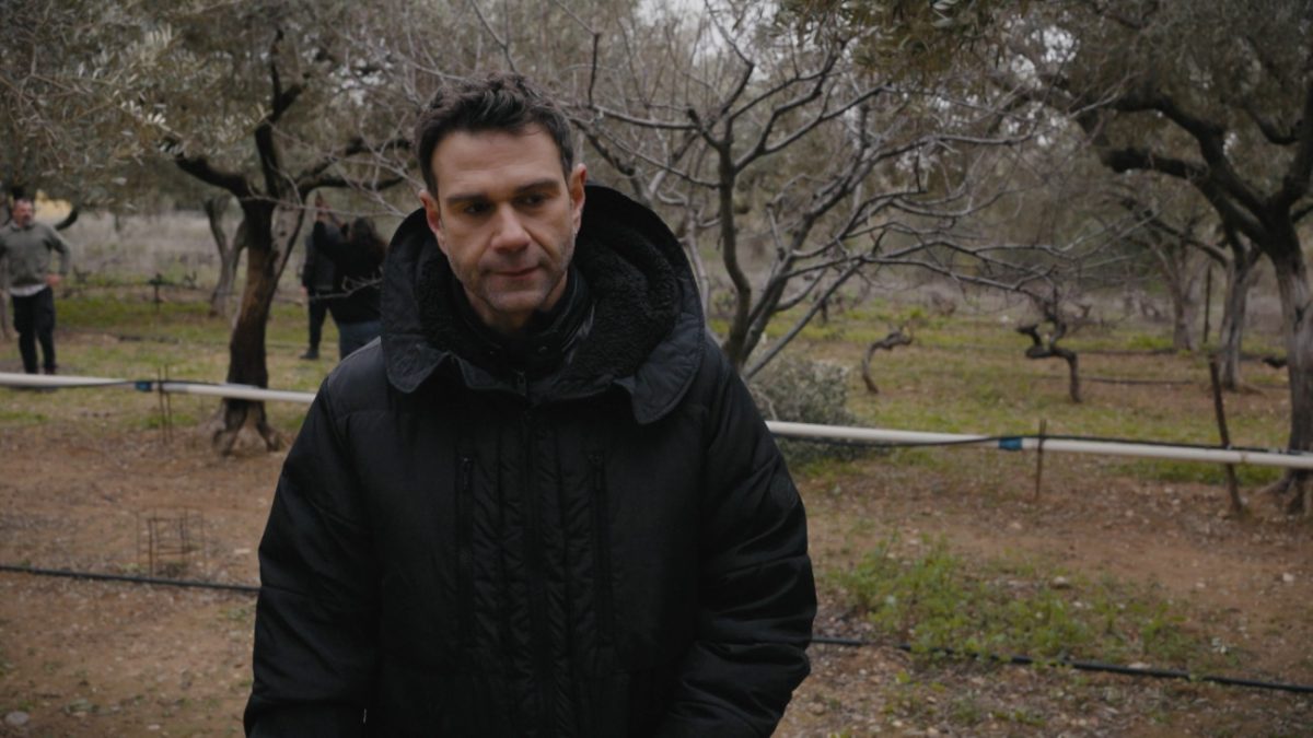 Η γη της ελιάς: Γκρίνιες και συγκρούσεις